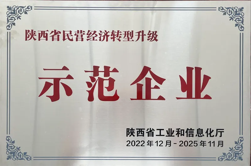 民营经济转型升级示范企业